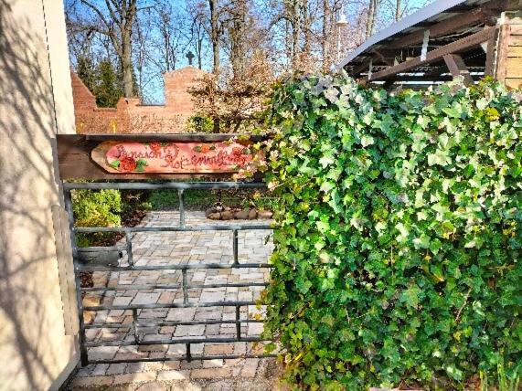 Pension Rosenvilla Sedlitz Экстерьер фото