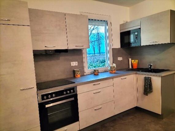 Pension Rosenvilla Sedlitz Экстерьер фото