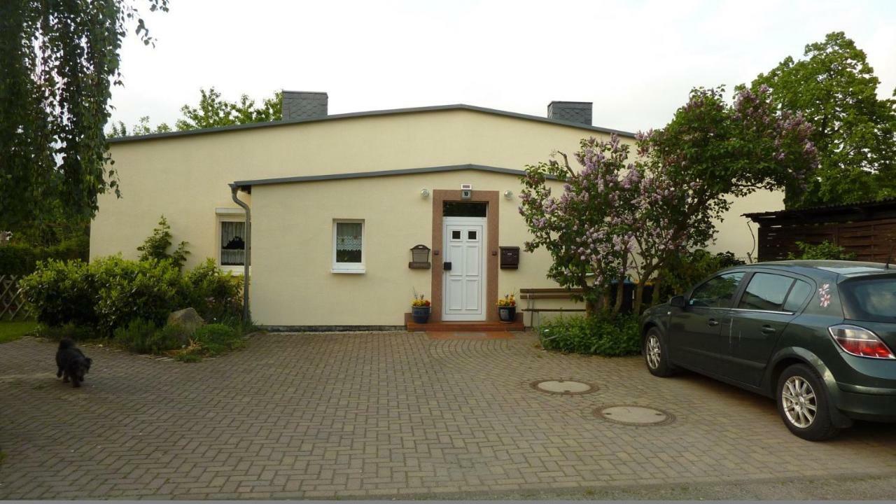Pension Rosenvilla Sedlitz Экстерьер фото